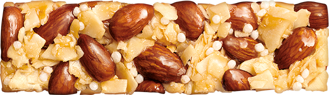 Coconut Almond Bar FLAT
